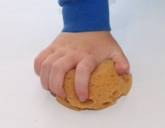 A squashing the sponge down.