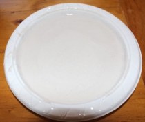 Plate of wet plaster.