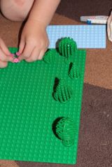 A placing trees and flowers ready for demolition.