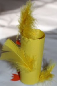 Showing the placement of feathers on A's chick.