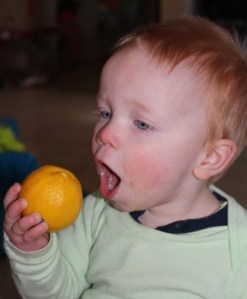 Going for a big bite.