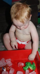 Playing with the ice.