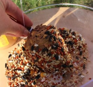 Making sure the whole pinecone was covered.